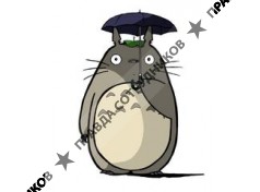 Totoro shop