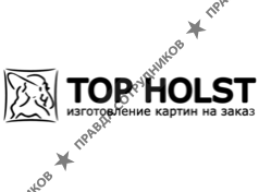 TopHolst