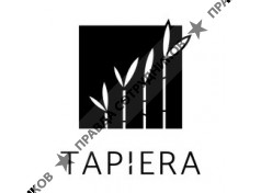 TAPIERA TEA