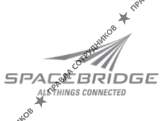Space Bridge Inc