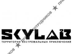 ИП Skylab (Чернышов Ю.Н.)