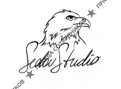 Sedov Studio