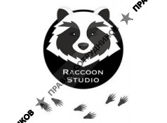 ООО Raccoon Studio