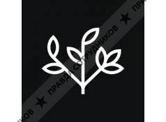 ООО PURIFY FLOWERS