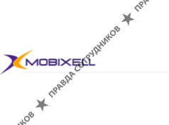 ОАО Mobixell, Компания