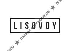 Lisovoy Digital