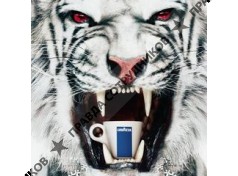 ИП Lavazza31