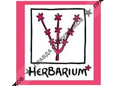 ООО Herbarium-Flora