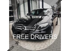 ИП Free Drivers (ИП Струцеску Александр Иванович)
