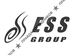 ООО ESS Group