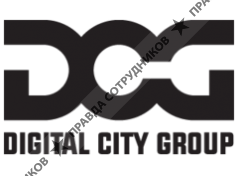 DIGITAL CITY GROUP