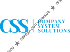 Company System Solutions
