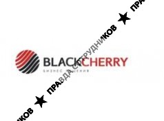 BLACKCHERRY Бизнес решения