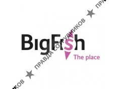 BigFish