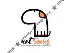 Art Socks