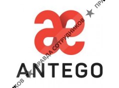 ANTEGO