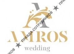 AMROS WEDDING