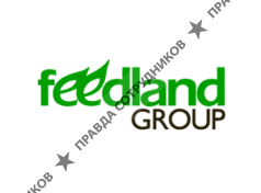 Фидлэнд Групп