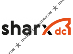 ООО Шаркс ДЦ