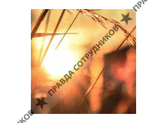 ООО Шалагинов