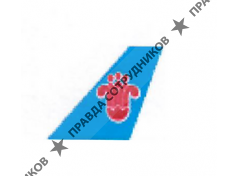 АО Чайна Саузен Эйрлайнз