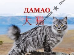 ООО Центр Китайской Медицины ДАМАО