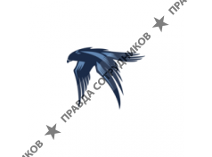 ООО Центр Взыскания Задолженности