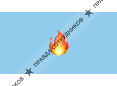 ИП Цебульский Виталий Сергеевич