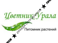 Цветник Урала