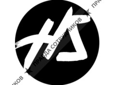 ООО Хайп Студия