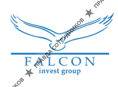 ООО Фалькон инвест групп