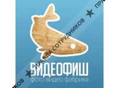 Фабрика ВИДЕОФИШ