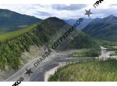 ООО УК Эльга Уголь