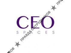 ООО УК Сео Спейсес