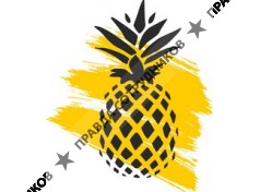 ИП Палёха Татьяна Владимировна