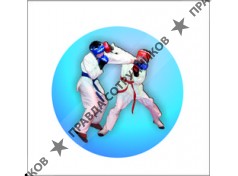 Общественная организация Брянская областная федерация рукопашного боя