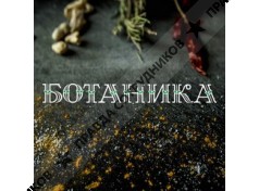 ООО Лайн-Сервис