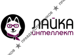 ООО Лайка Интеллект