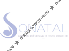 ИП Лазарев Михаил Львович