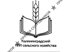 Калининградский НИИСХ - филиал ФНЦ ВИК им. В.Р. Вильямса