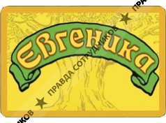 ИП Евгеника