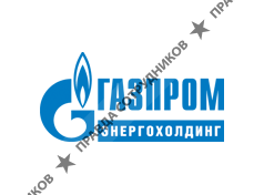 ООО «Газпром энергохолдинг»