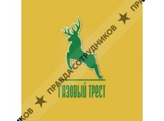 ООО Газовый Трест