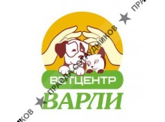ИП Варли
