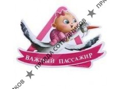 ООО Важный пассажир