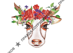 ООО Балаковский молочный комбинат