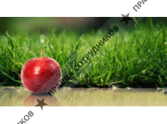 ИП Баканова М.Ю.