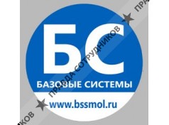 ООО Базовые системы