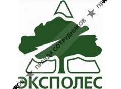 ООО Эксполес