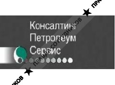 ООО Консалтинг Петролеум Сервис
